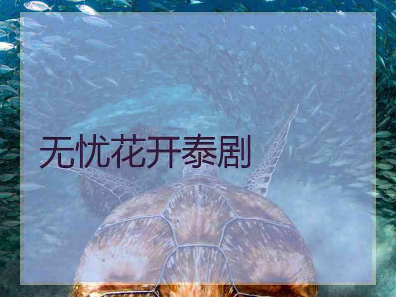无忧花开泰剧