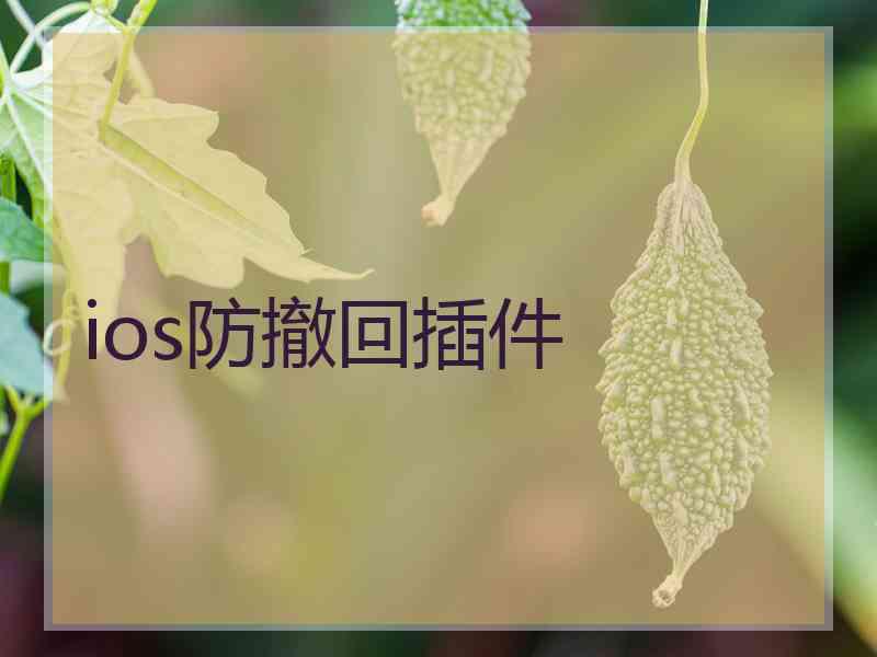 ios防撤回插件
