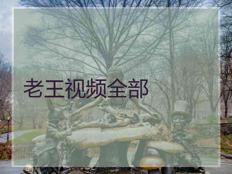 老王视频全部
