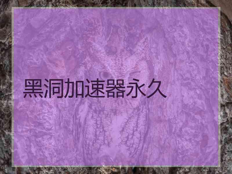 黑洞加速器永久