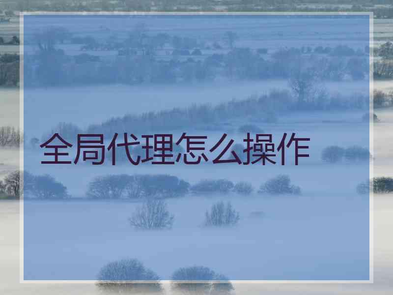 全局代理怎么操作