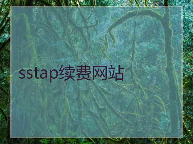sstap续费网站