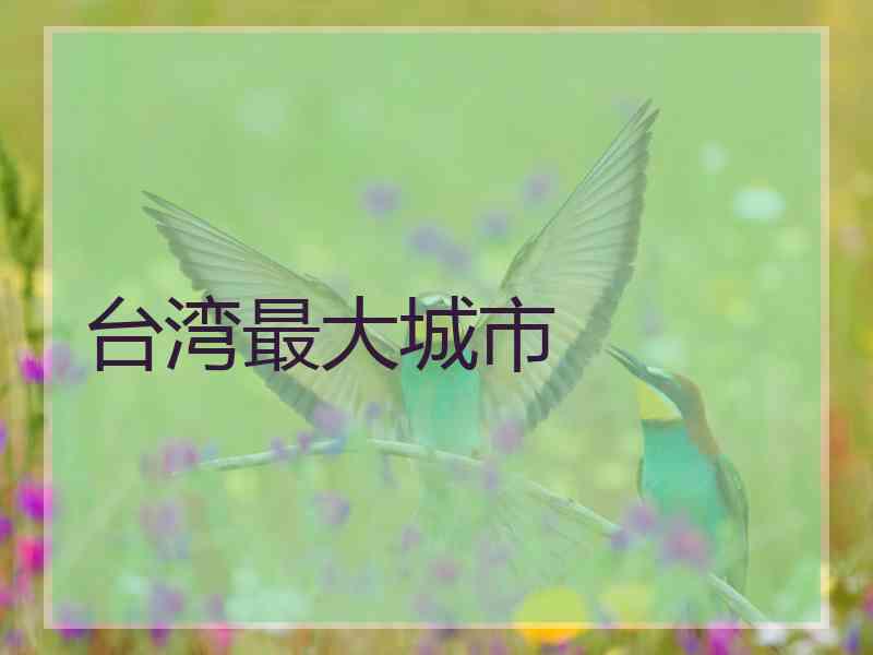 台湾最大城市