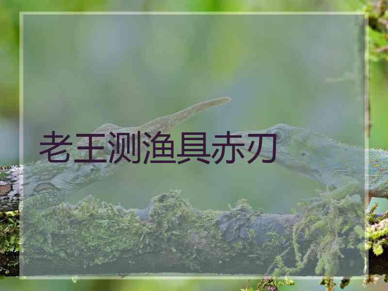 老王测渔具赤刃