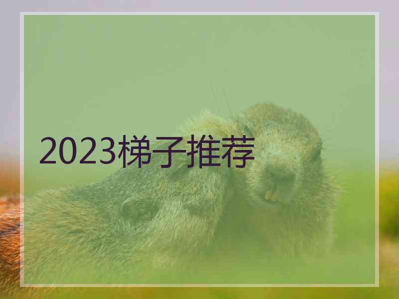 2023梯子推荐