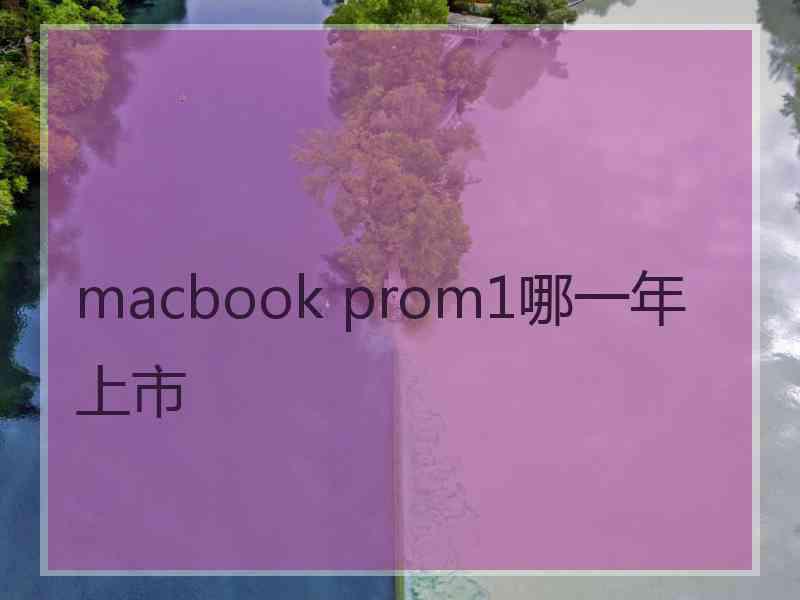 macbook prom1哪一年上市