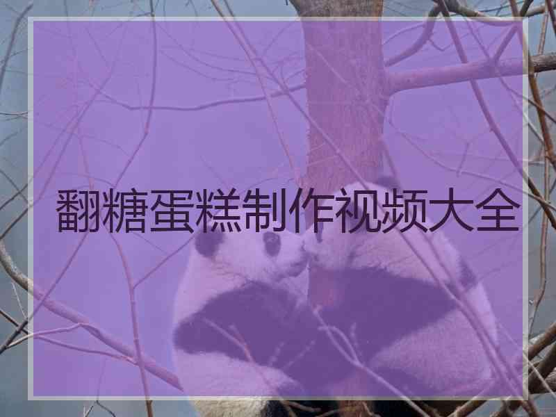 翻糖蛋糕制作视频大全