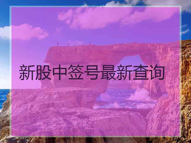 新股中签号最新查询