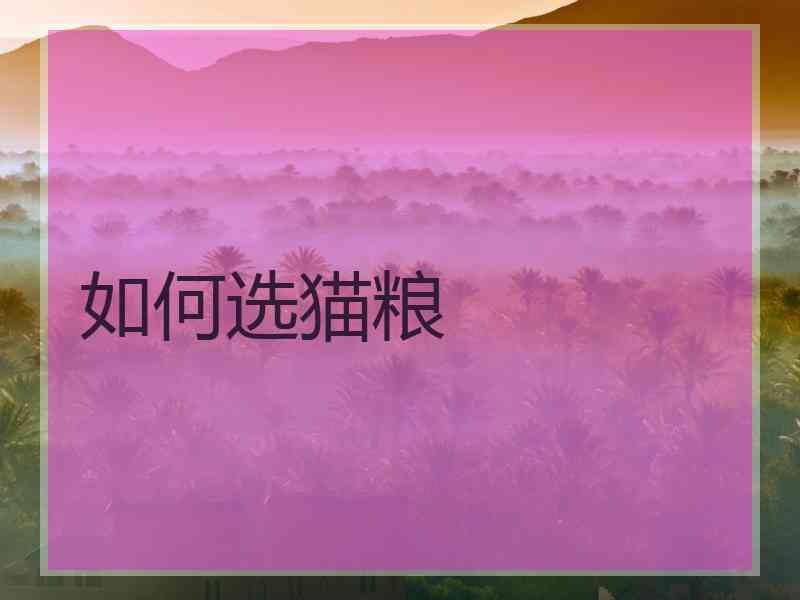 如何选猫粮