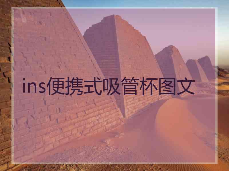ins便携式吸管杯图文