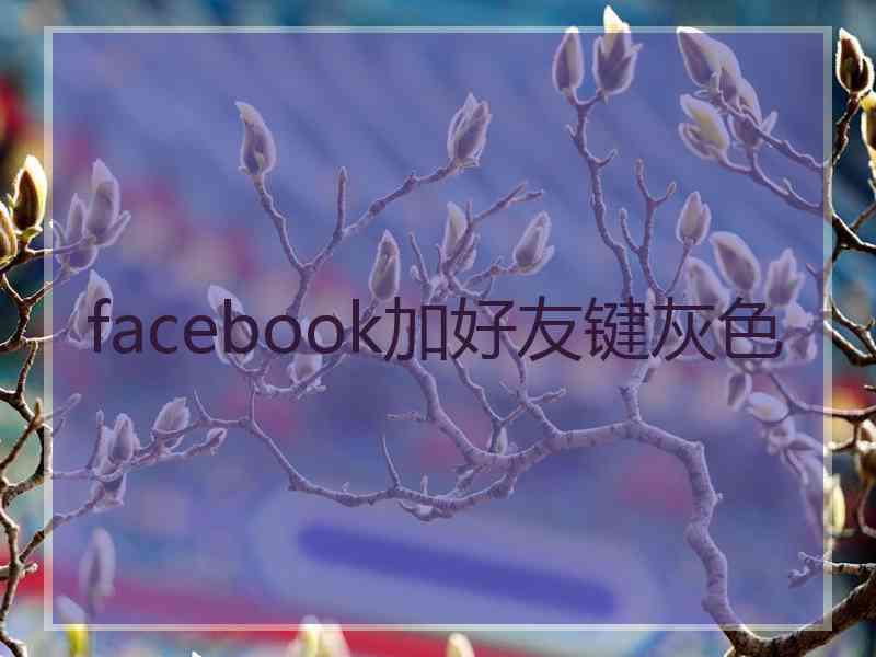 facebook加好友键灰色