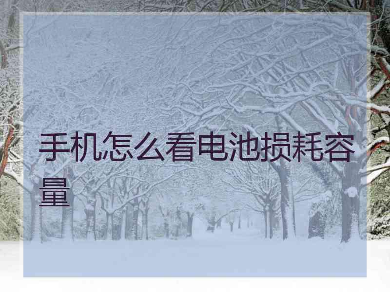 手机怎么看电池损耗容量