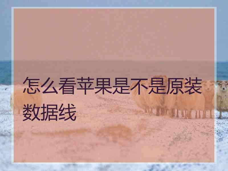 怎么看苹果是不是原装数据线