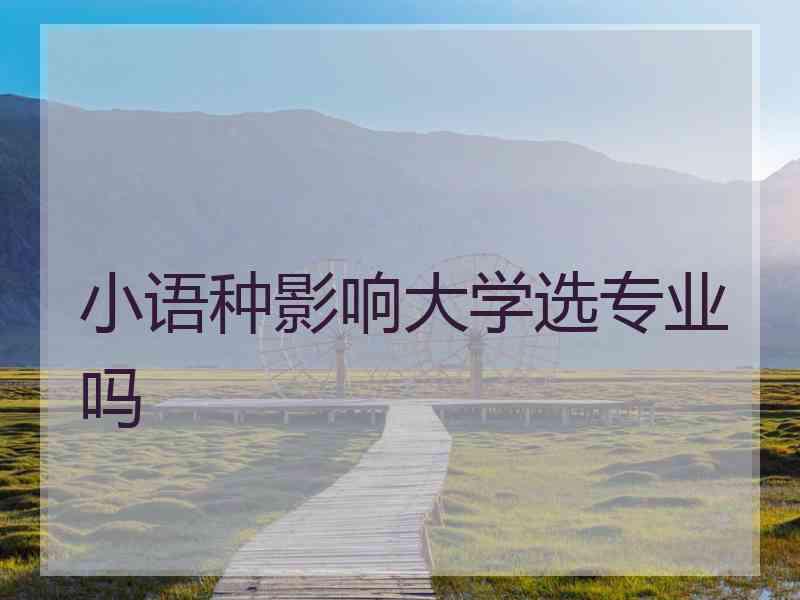 小语种影响大学选专业吗