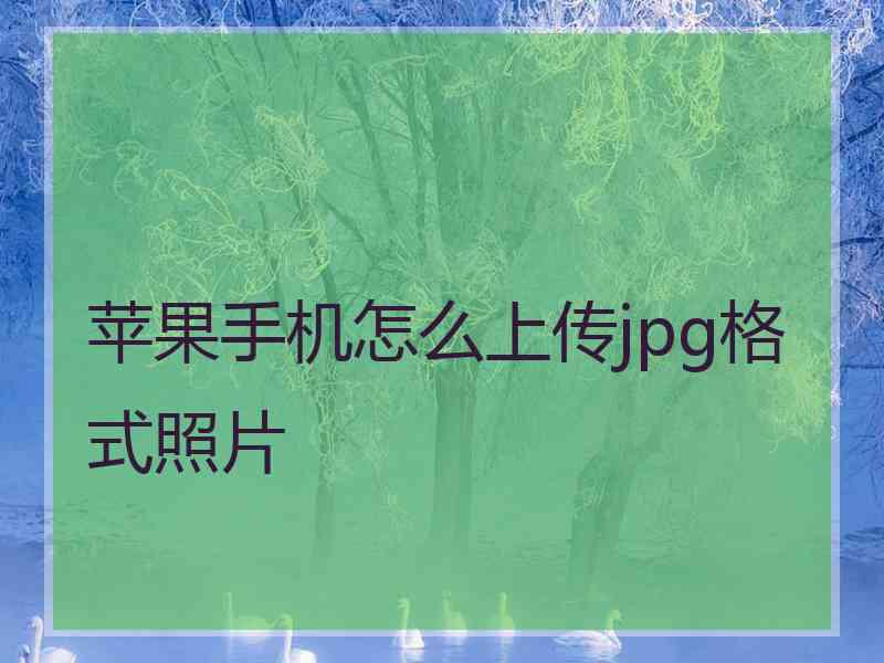 苹果手机怎么上传jpg格式照片