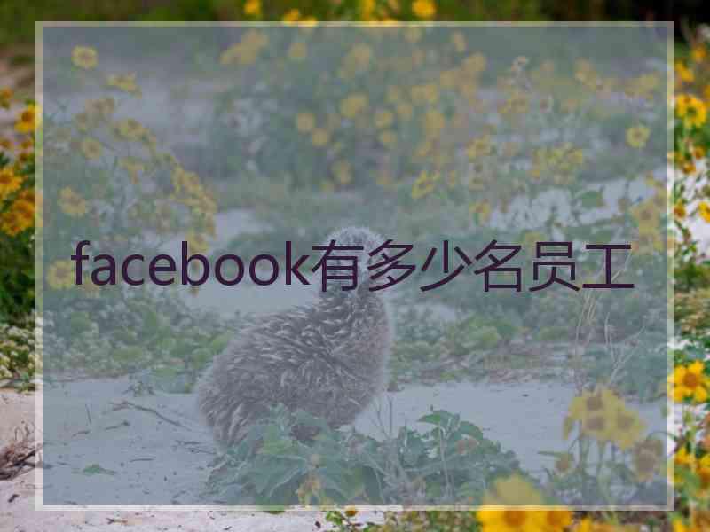 facebook有多少名员工