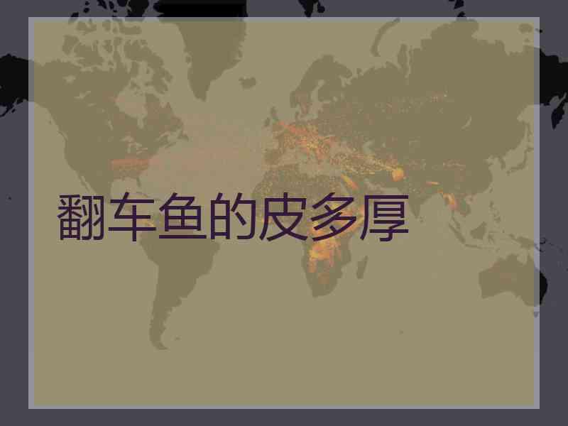 翻车鱼的皮多厚