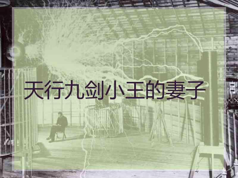 天行九剑小王的妻子
