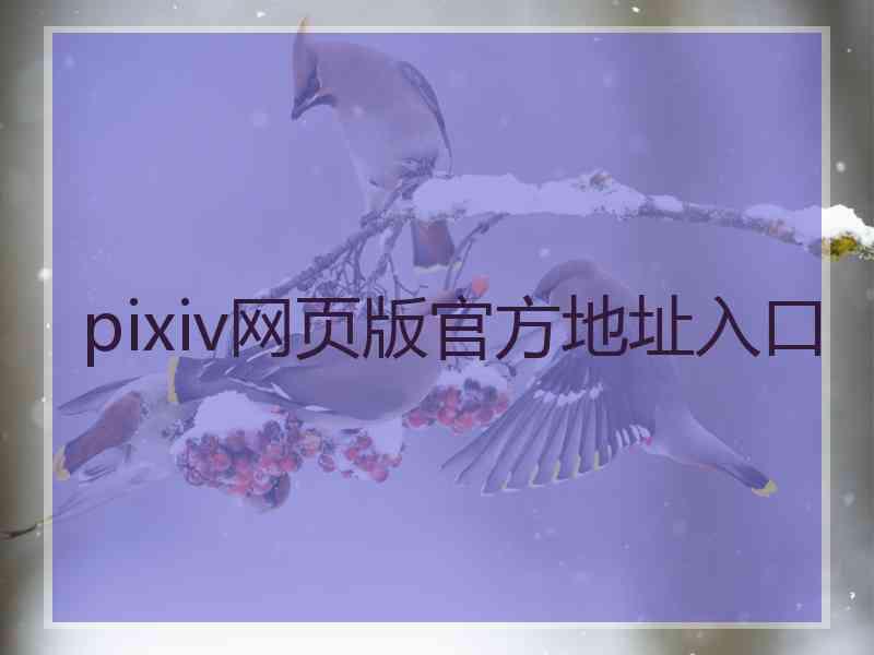 pixiv网页版官方地址入口