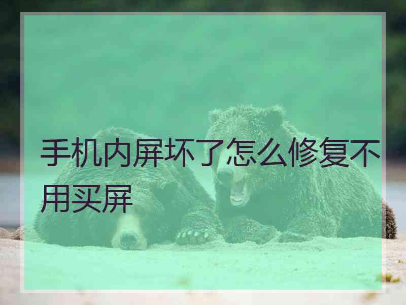 手机内屏坏了怎么修复不用买屏