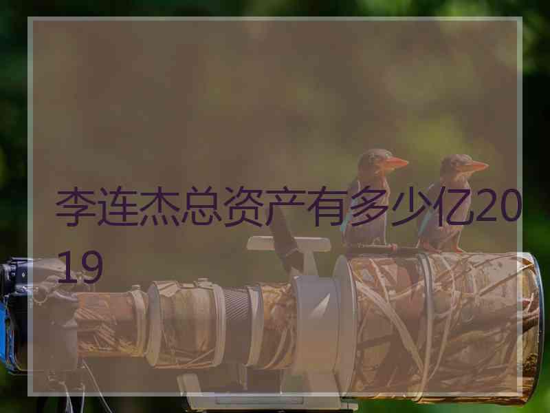 李连杰总资产有多少亿2019