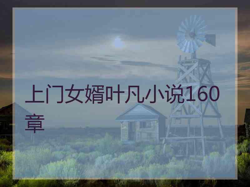 上门女婿叶凡小说160章