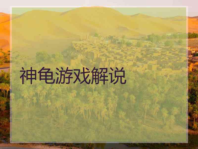 神龟游戏解说