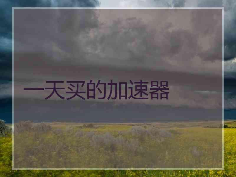 一天买的加速器