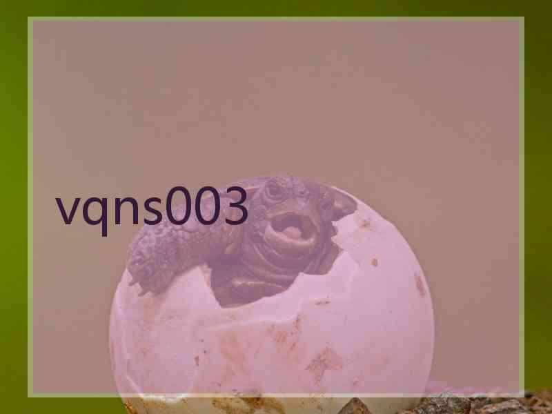 vqns003