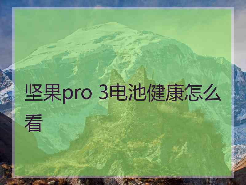 坚果pro 3电池健康怎么看