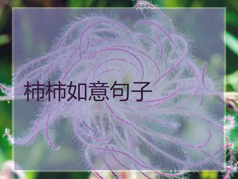 柿柿如意句子
