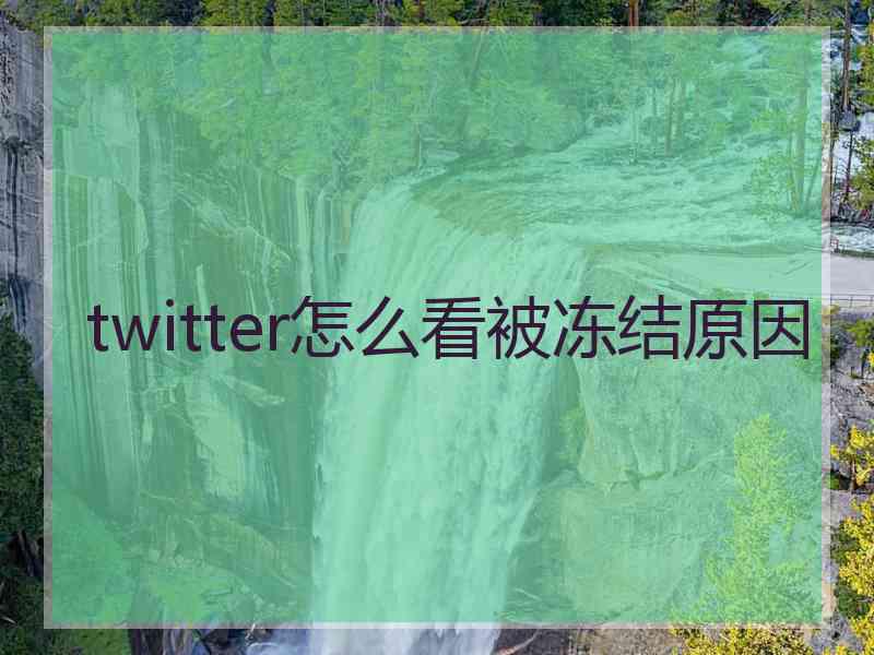 twitter怎么看被冻结原因