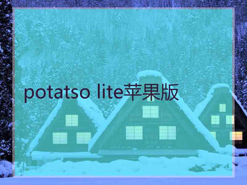 potatso lite苹果版