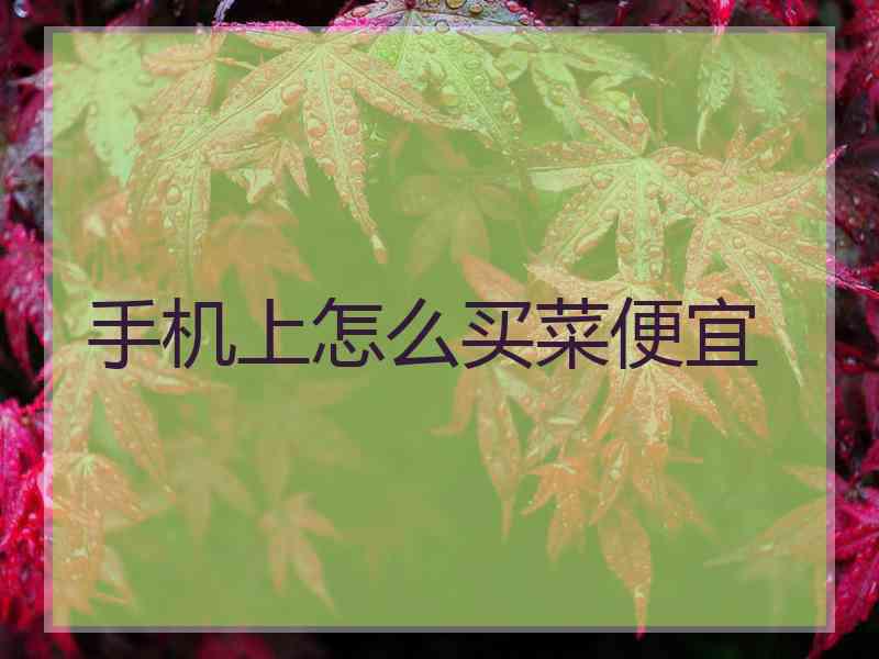 手机上怎么买菜便宜