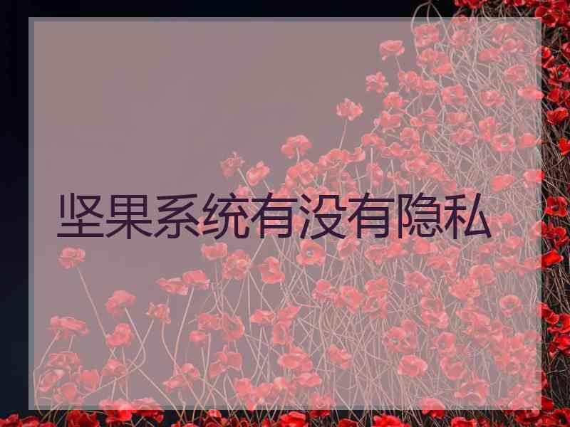 坚果系统有没有隐私
