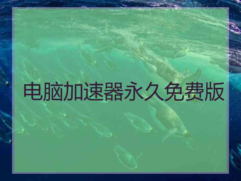 电脑加速器永久免费版