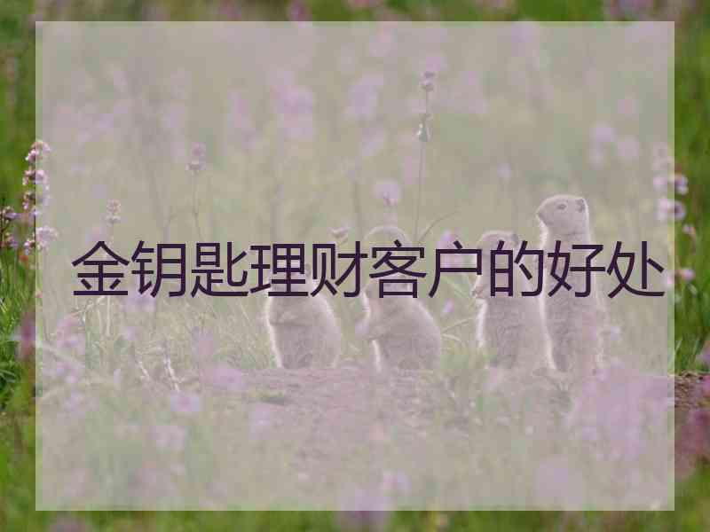 金钥匙理财客户的好处