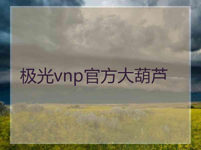 极光vnp官方大葫芦