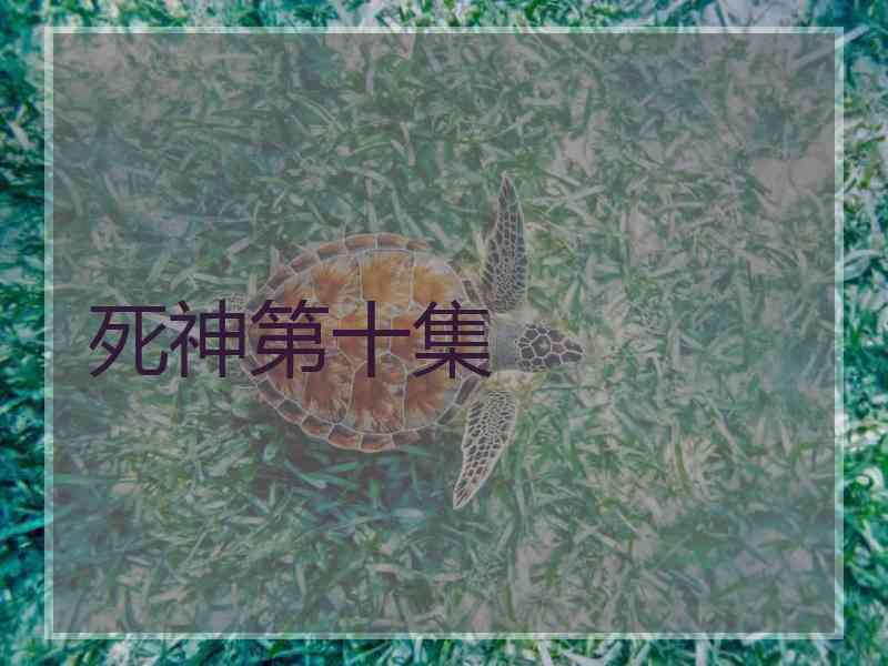 死神第十集