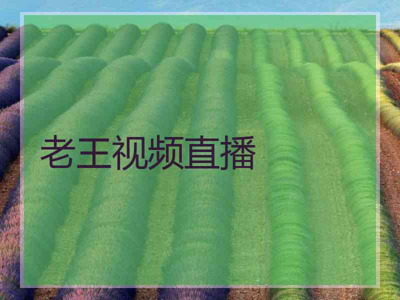 老王视频直播