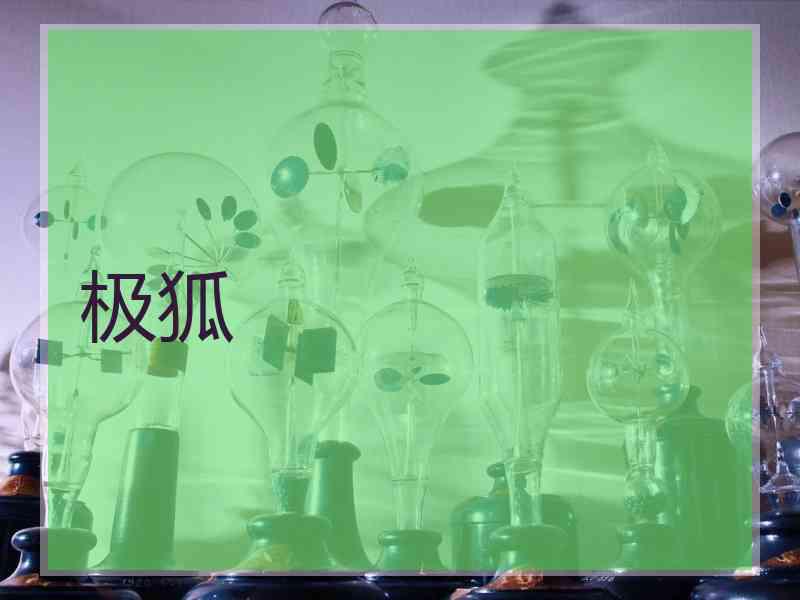 极狐