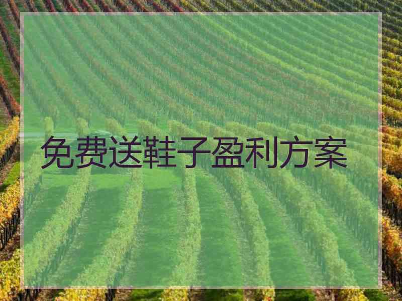 免费送鞋子盈利方案