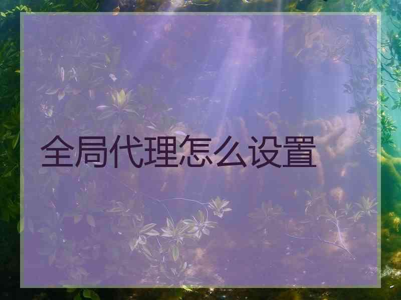 全局代理怎么设置