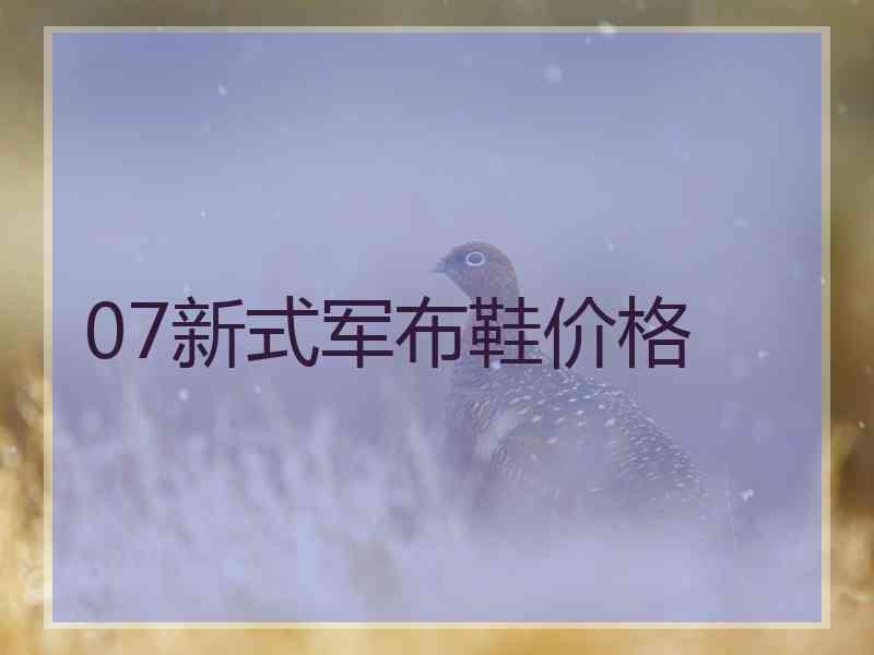 07新式军布鞋价格