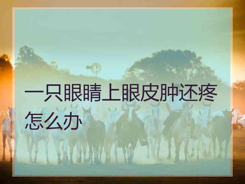 一只眼睛上眼皮肿还疼怎么办