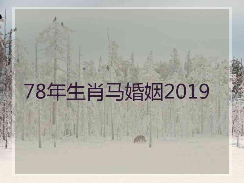 78年生肖马婚姻2019