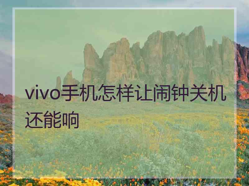 vivo手机怎样让闹钟关机还能响