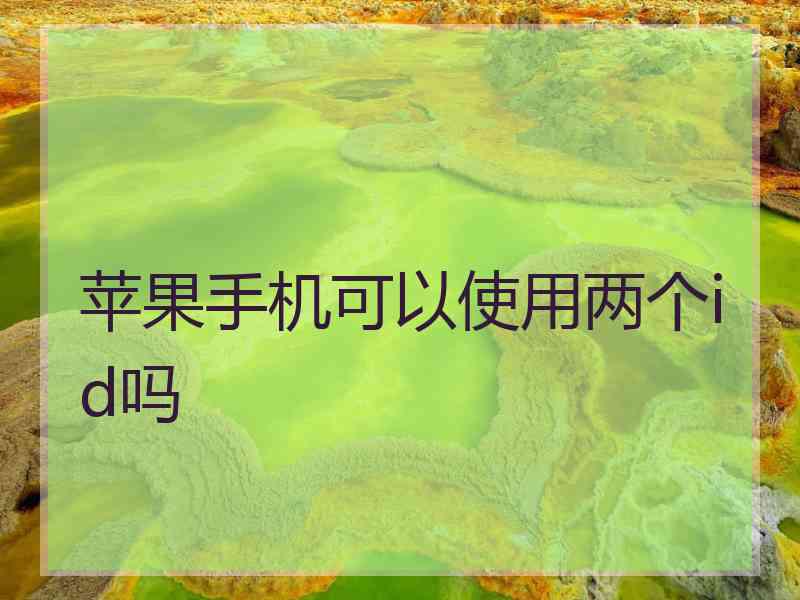 苹果手机可以使用两个id吗