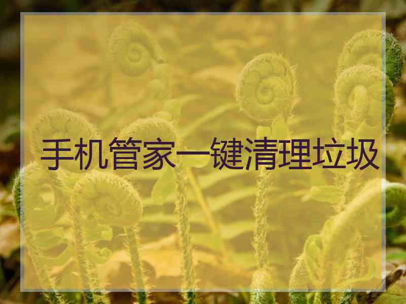 手机管家一键清理垃圾