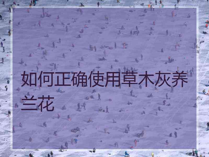如何正确使用草木灰养兰花